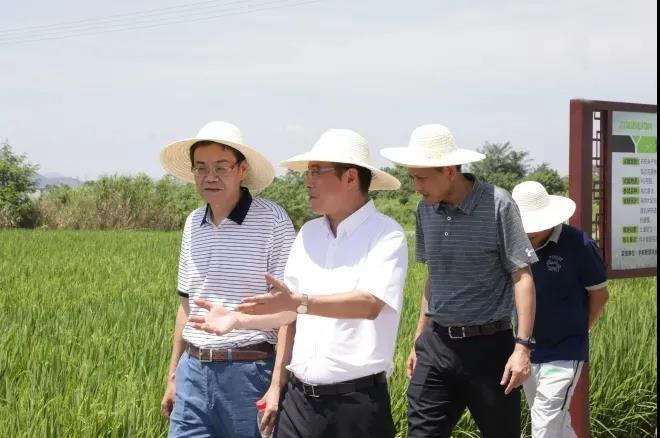 必发集团(股份)有限公司-官方网站