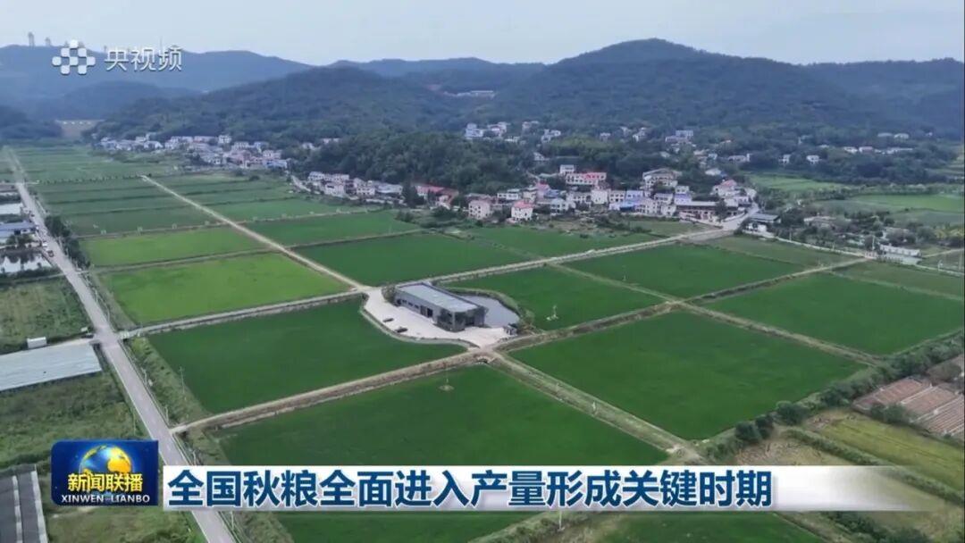 必发集团(股份)有限公司-官方网站