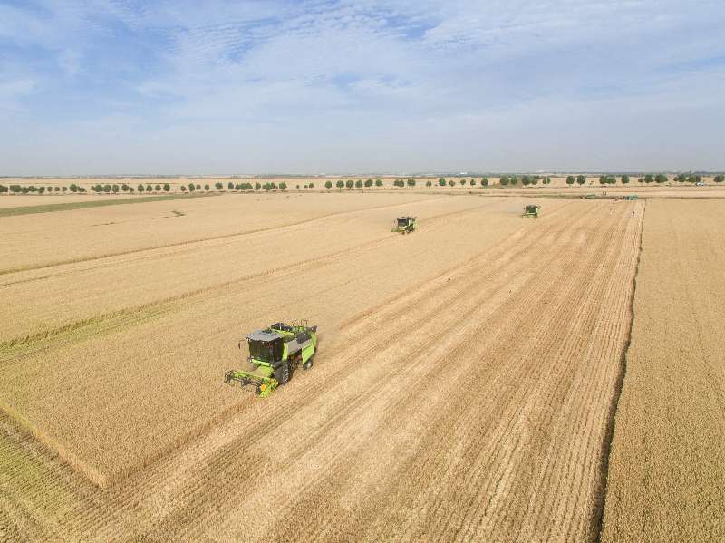 必发集团(股份)有限公司-官方网站