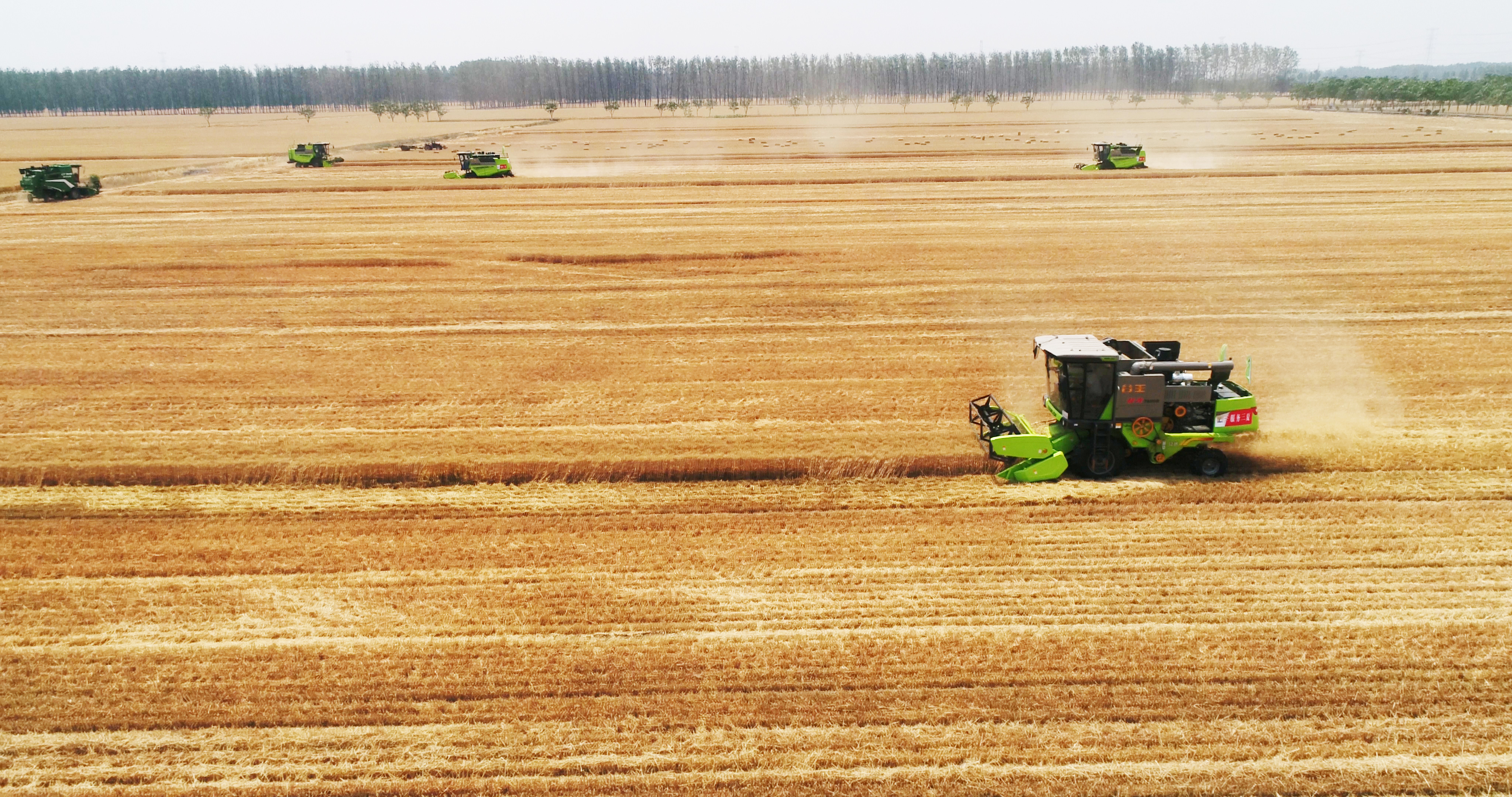 必发集团(股份)有限公司-官方网站