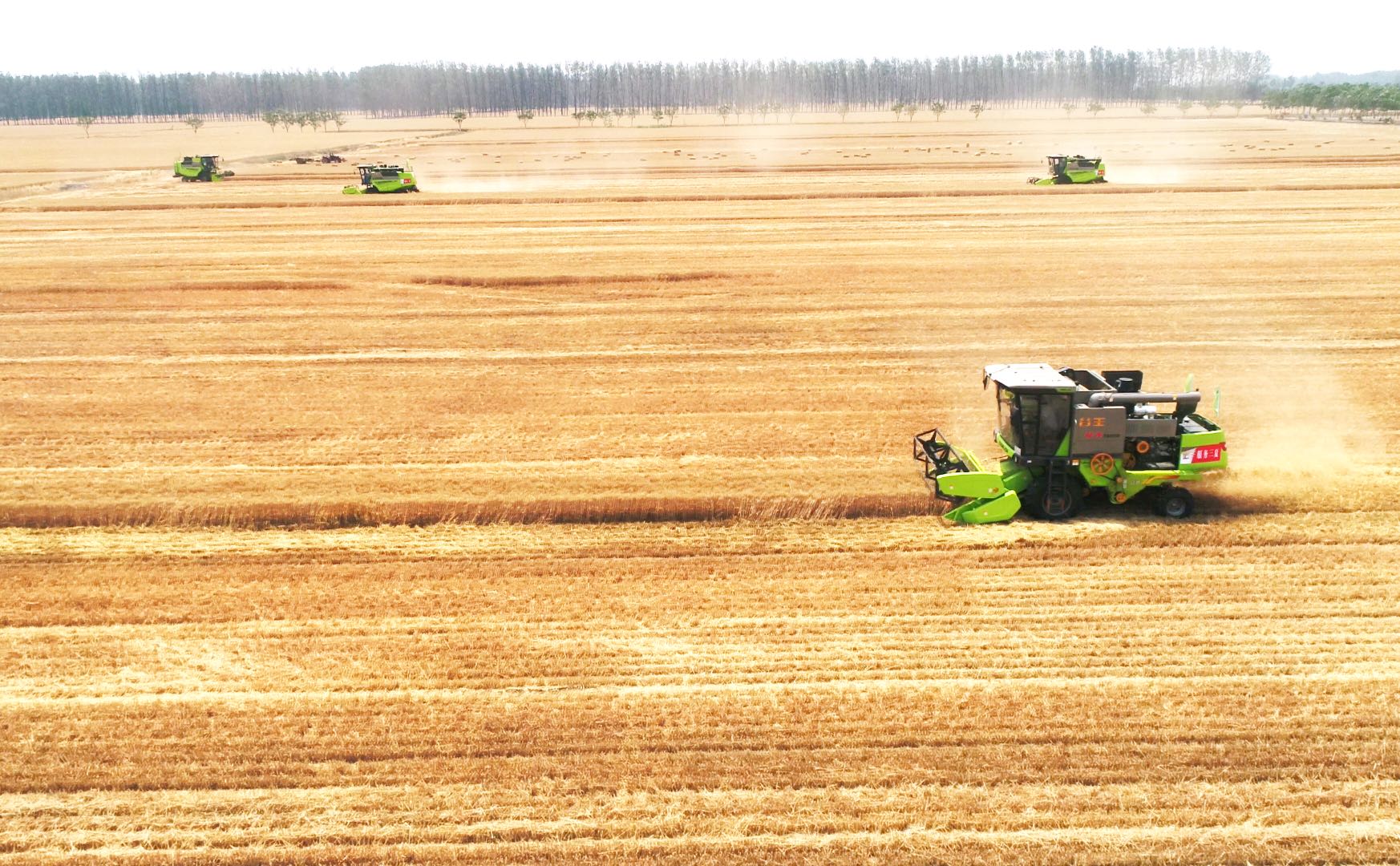 必发集团(股份)有限公司-官方网站